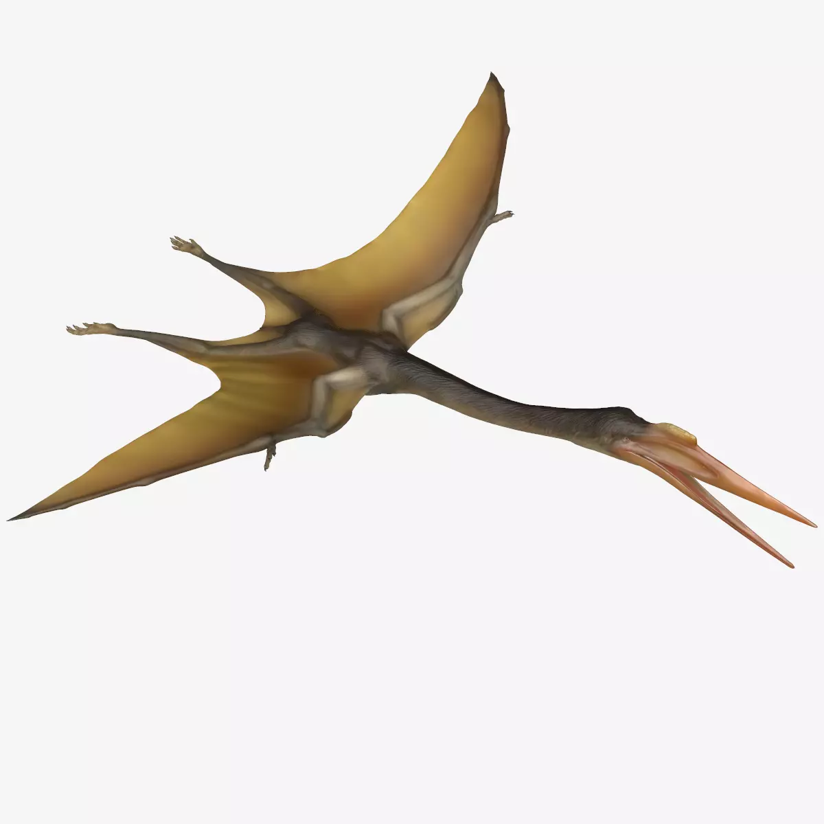 Quetzalcoatlus dinosaur Low-poly 3D model_0