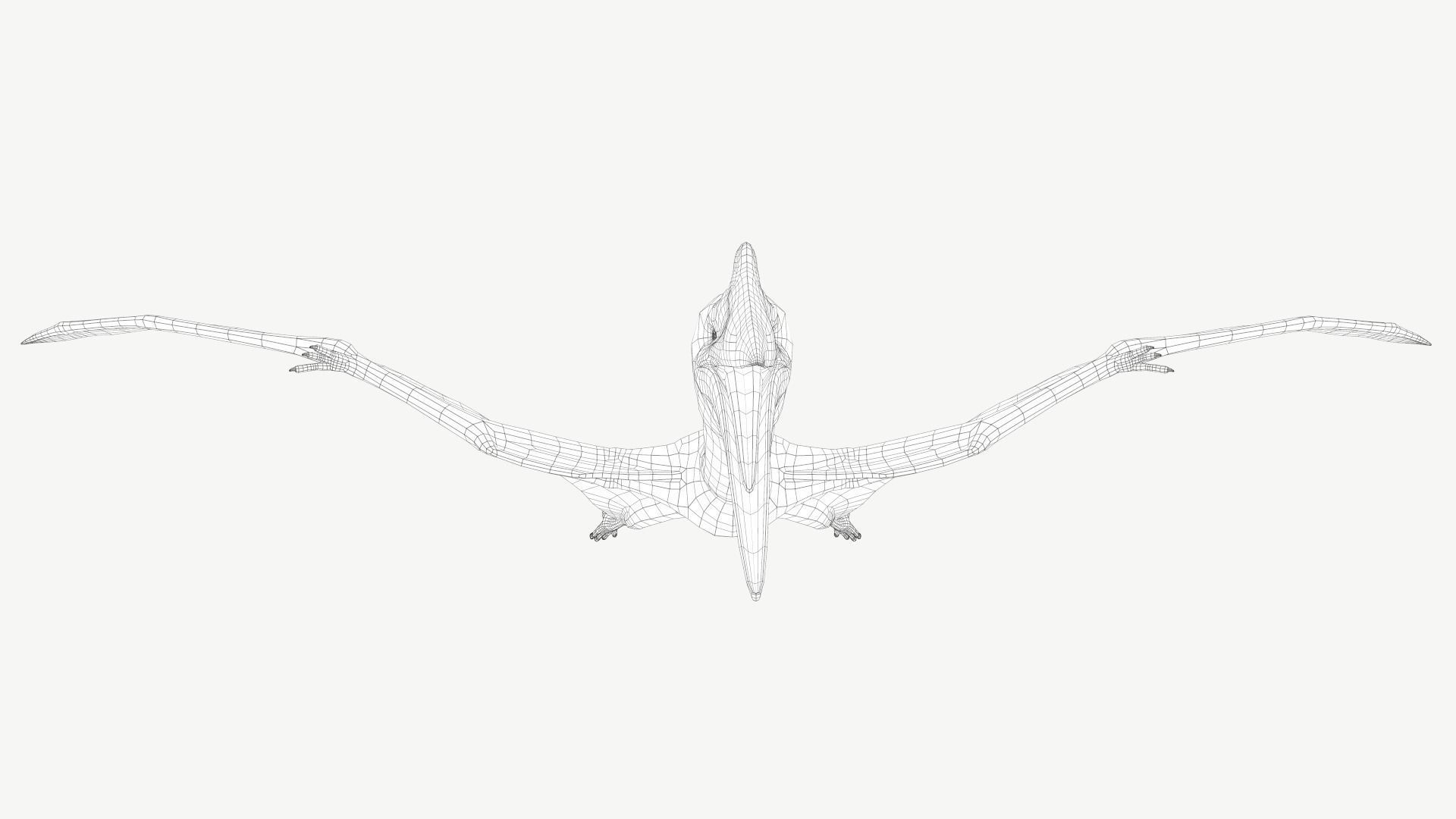 Quetzalcoatlus dinosaur Low-poly 3D model_10
