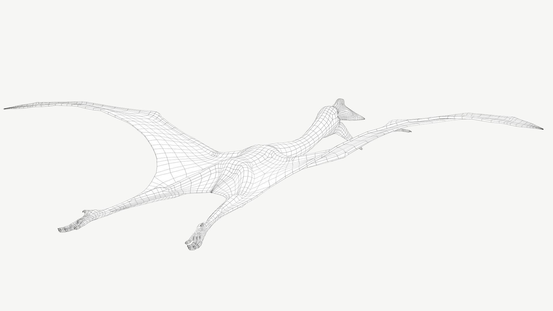 Quetzalcoatlus dinosaur Low-poly 3D model_6