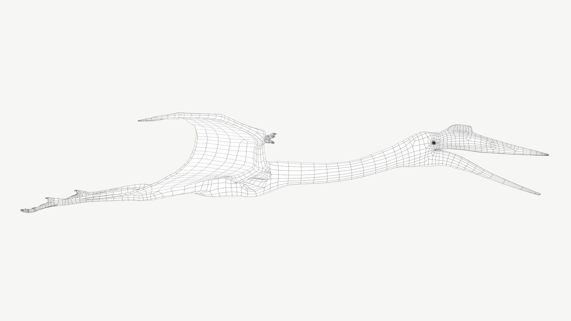 Quetzalcoatlus dinosaur Low-poly 3D model_4