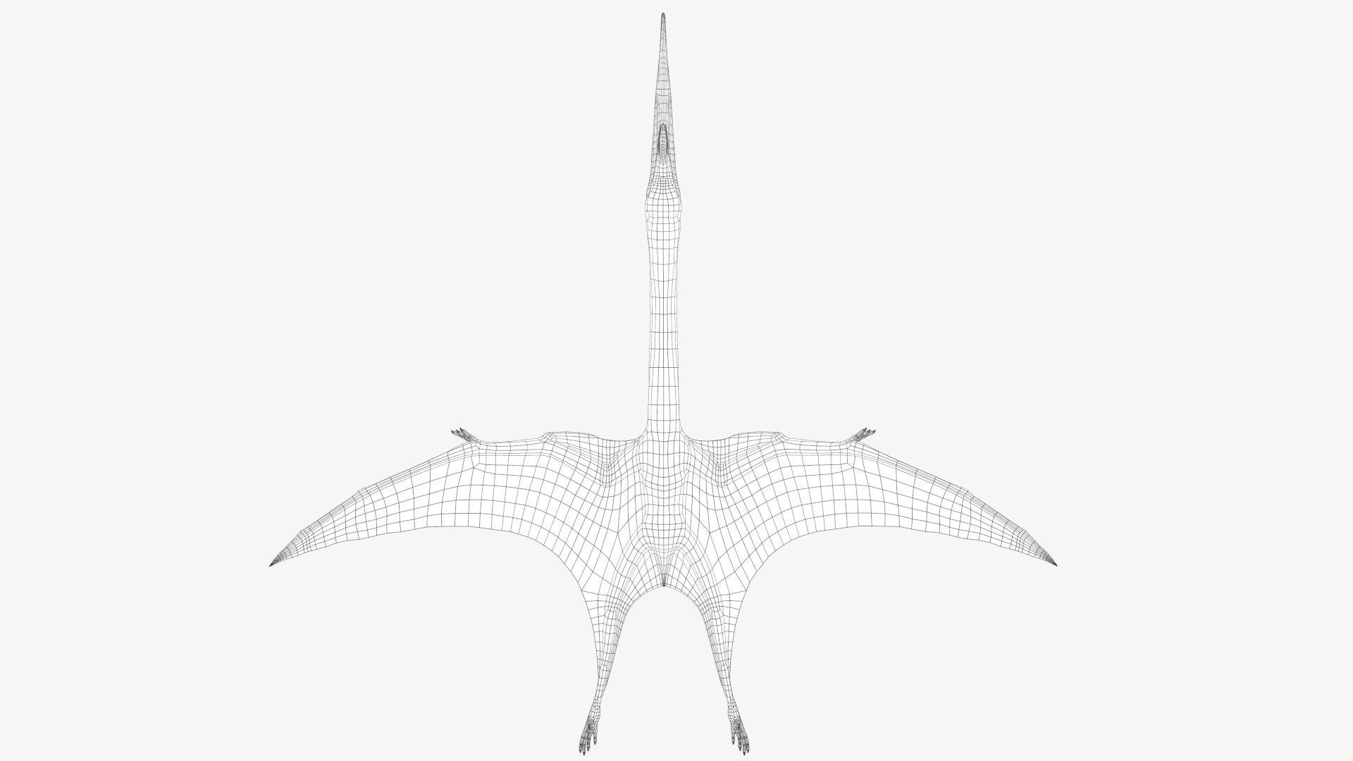 Quetzalcoatlus dinosaur Low-poly 3D model_8
