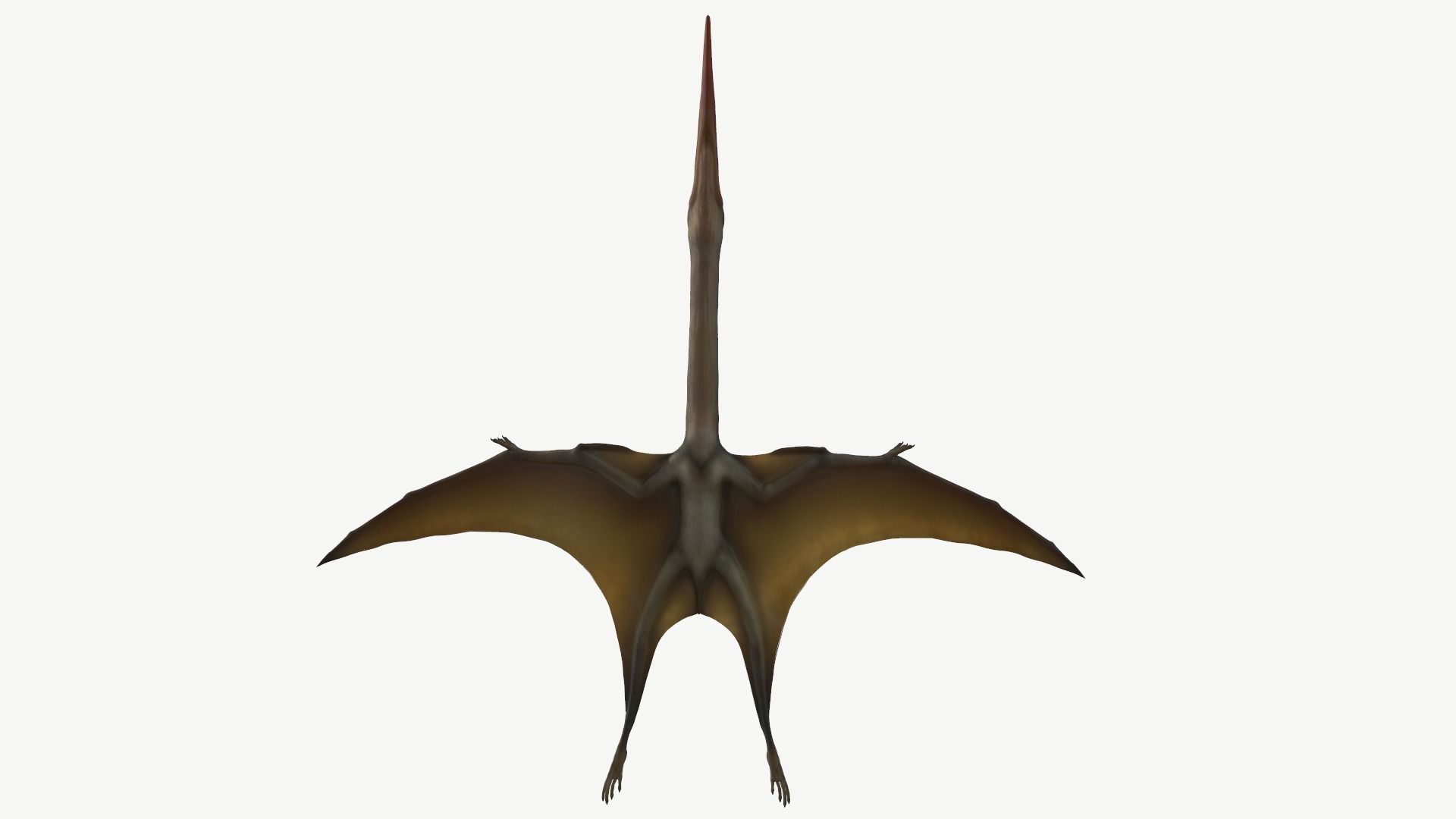 Quetzalcoatlus dinosaur Low-poly 3D model_11