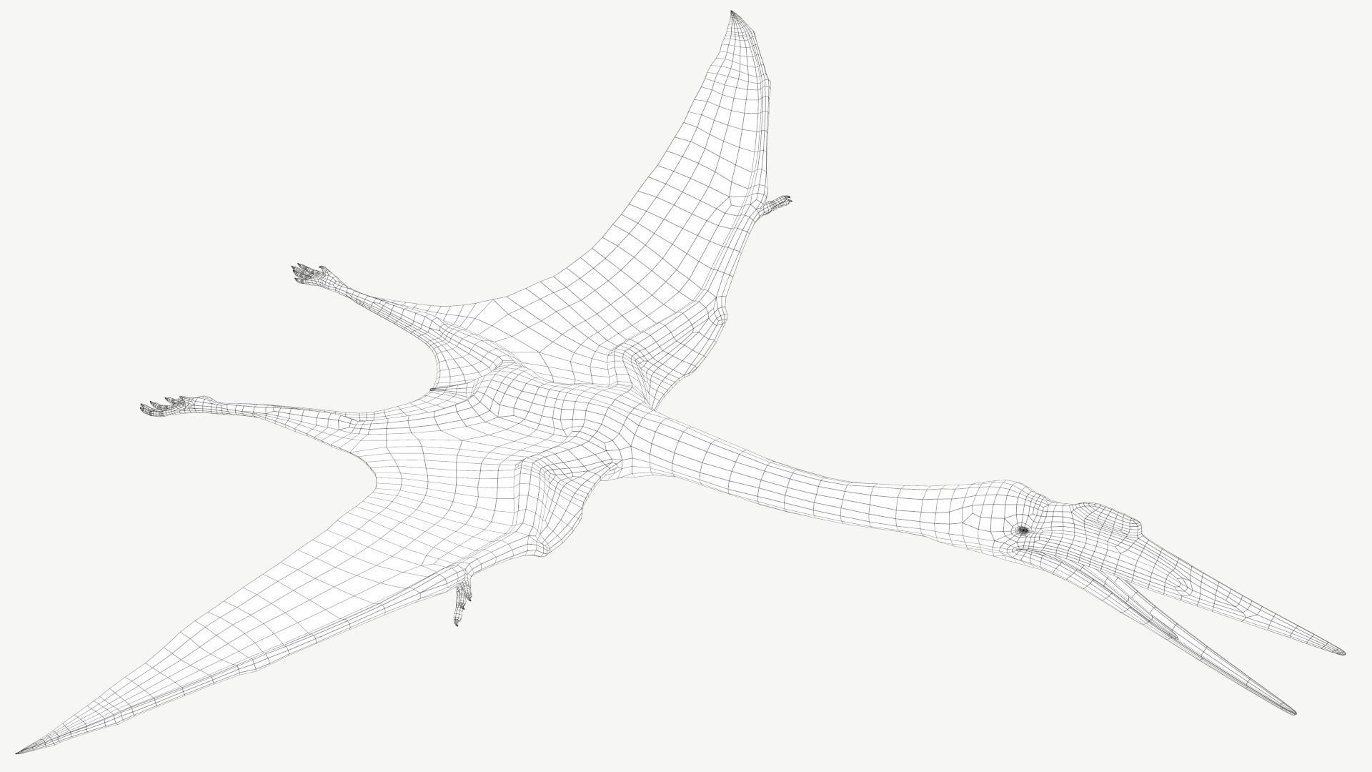 Quetzalcoatlus dinosaur Low-poly 3D model_2