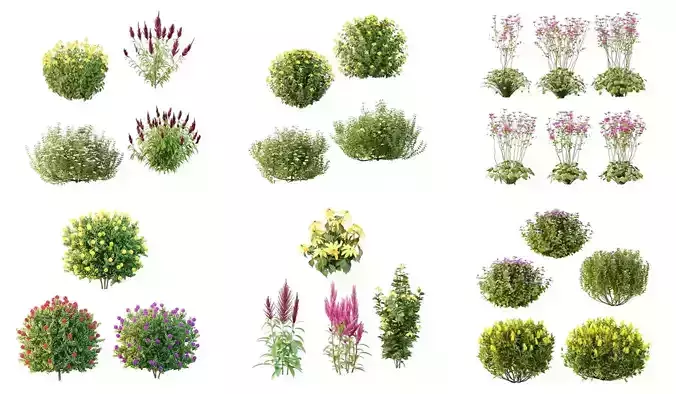Excellent collection of Outdoor plants 26 Different Models 0050