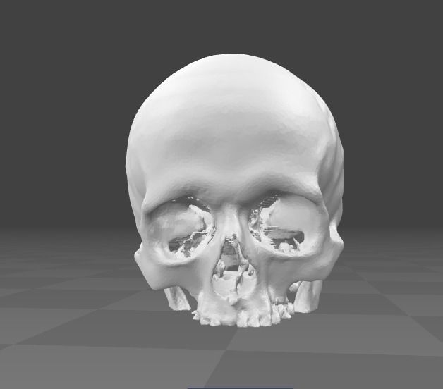 Human Skull male - age 40 Free 3D model