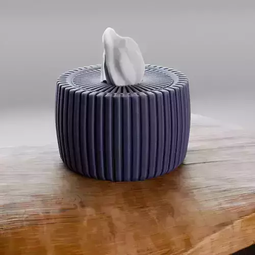 Modern Tissue Box