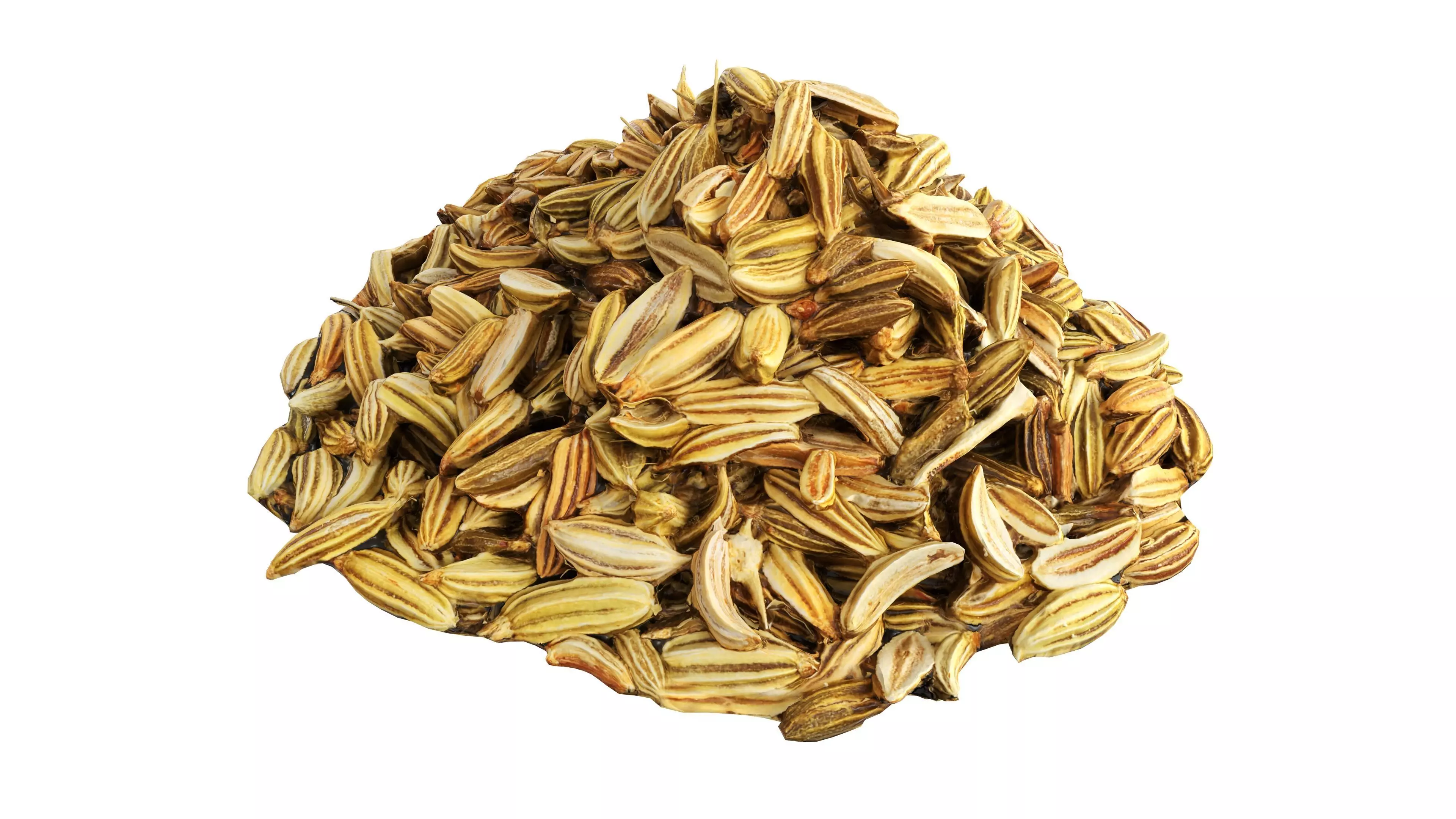 Fennel seeds Free low-poly 3D model