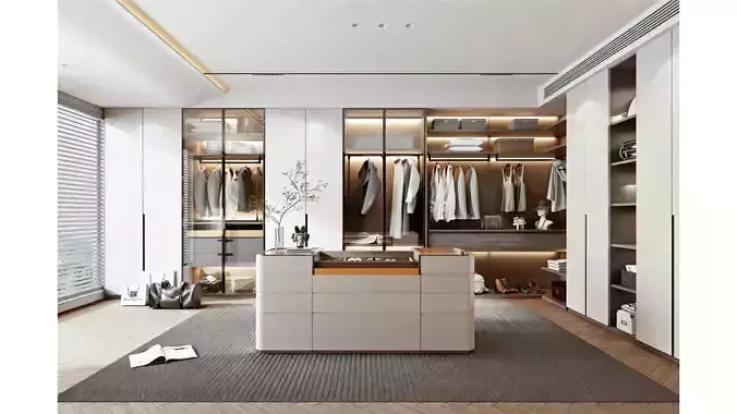 Modern Light Luxury Cloakroom