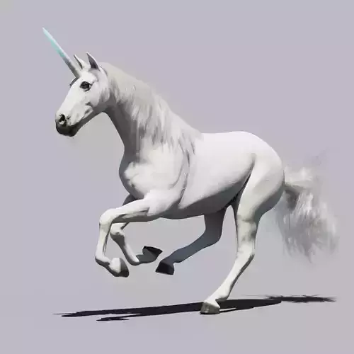 Unicorn animated