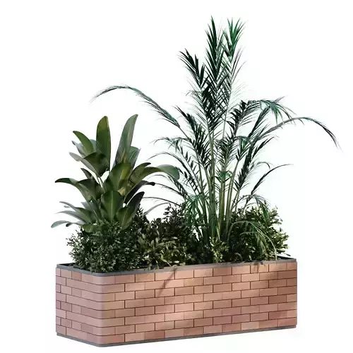plant in brick box 895