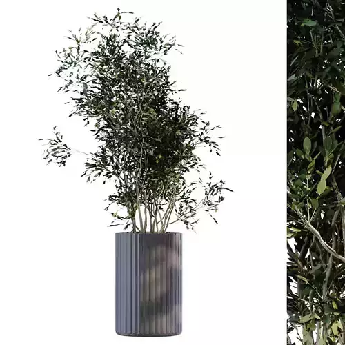 plant in vase set 896