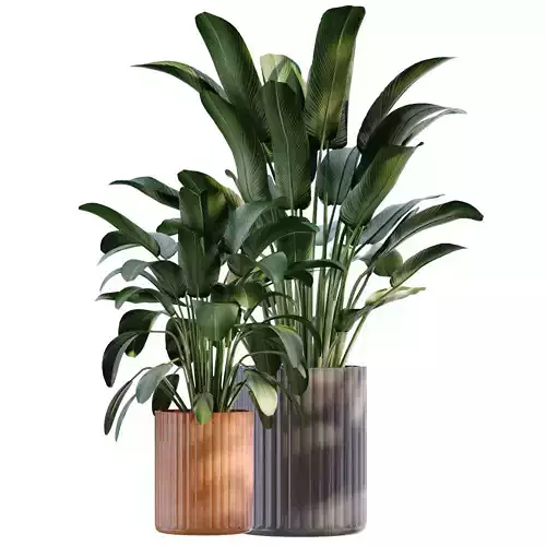 plant in vase set 897