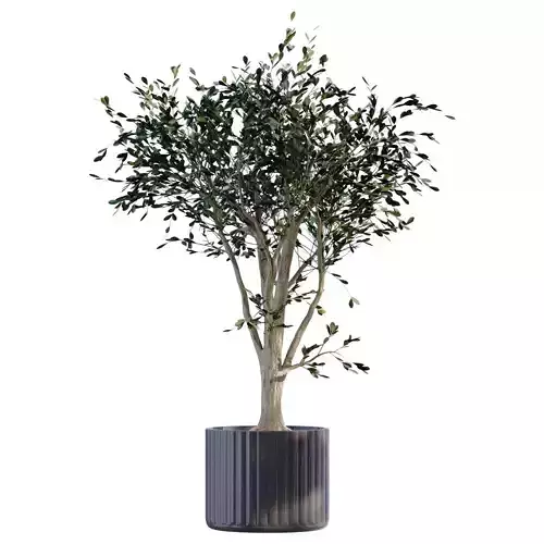 plant in vase set 898