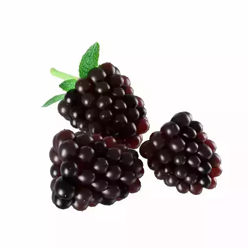 Blackberry