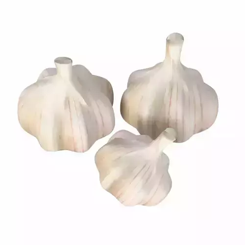 Garlic