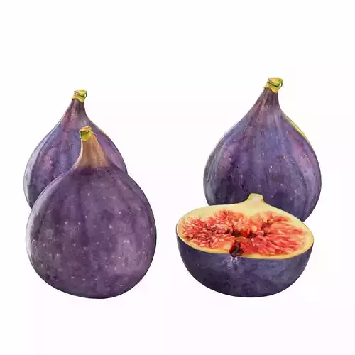 fig fruit 01