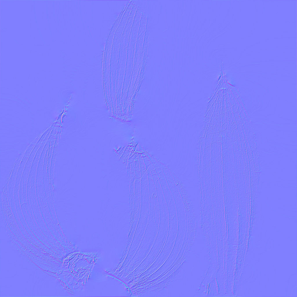 Garlic and garlic cloves 3D model_7