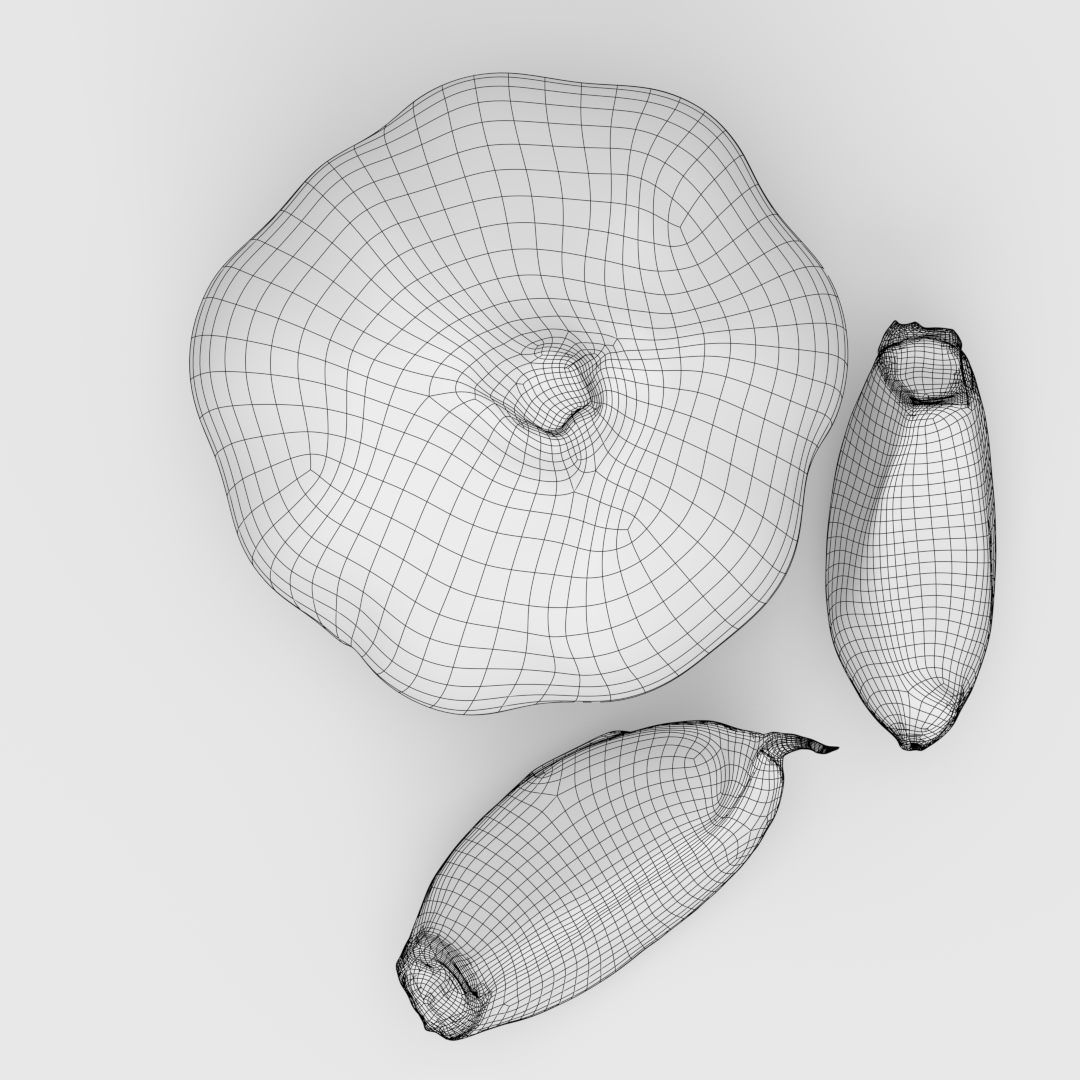 Garlic and garlic cloves 3D model_3