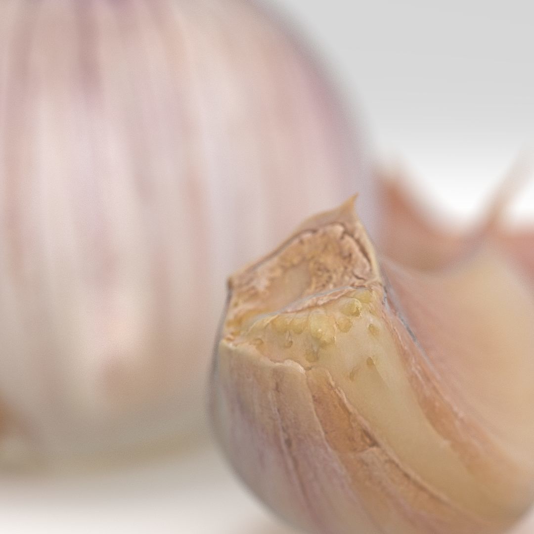 Garlic and garlic cloves 3D model_4
