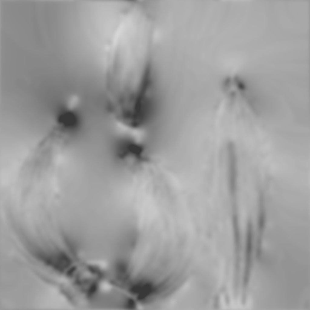 Garlic and garlic cloves 3D model_6