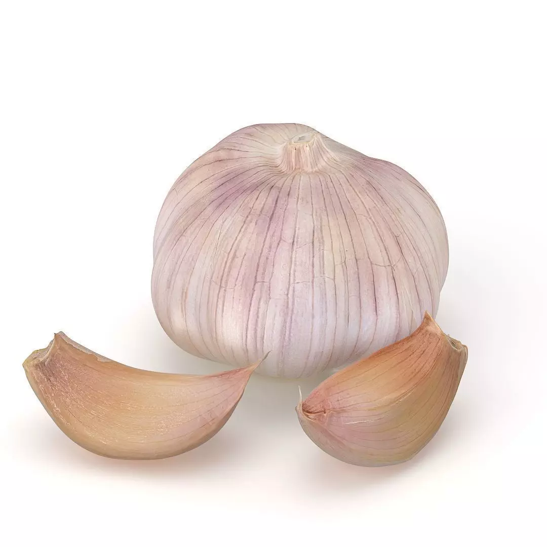 Garlic and garlic cloves 3D model_0
