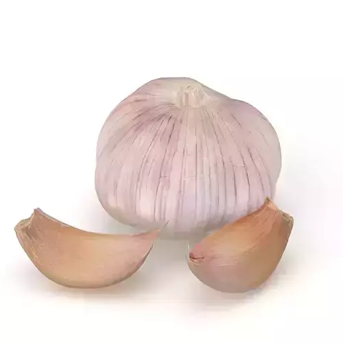 Garlic and garlic cloves 3D model