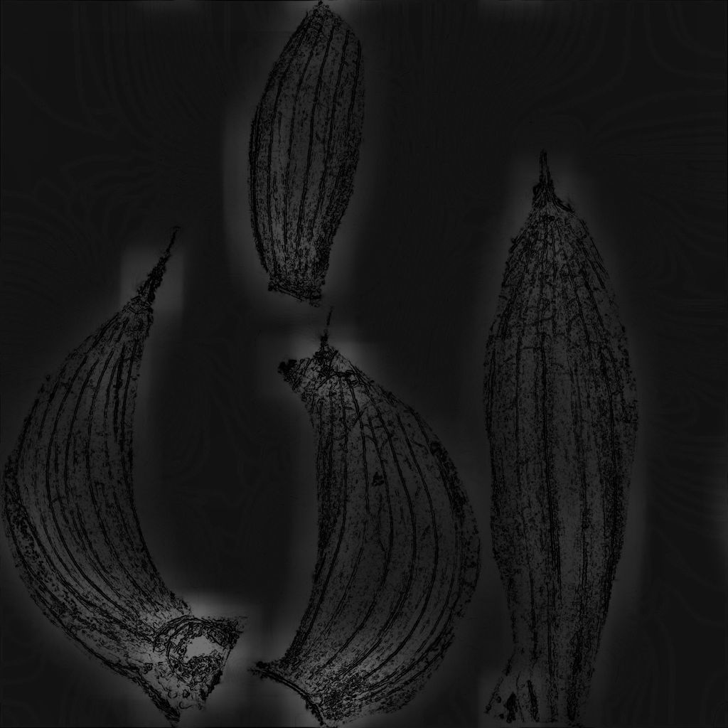 Garlic and garlic cloves 3D model_8