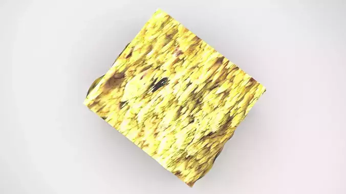 Pistamisu 3D model 5