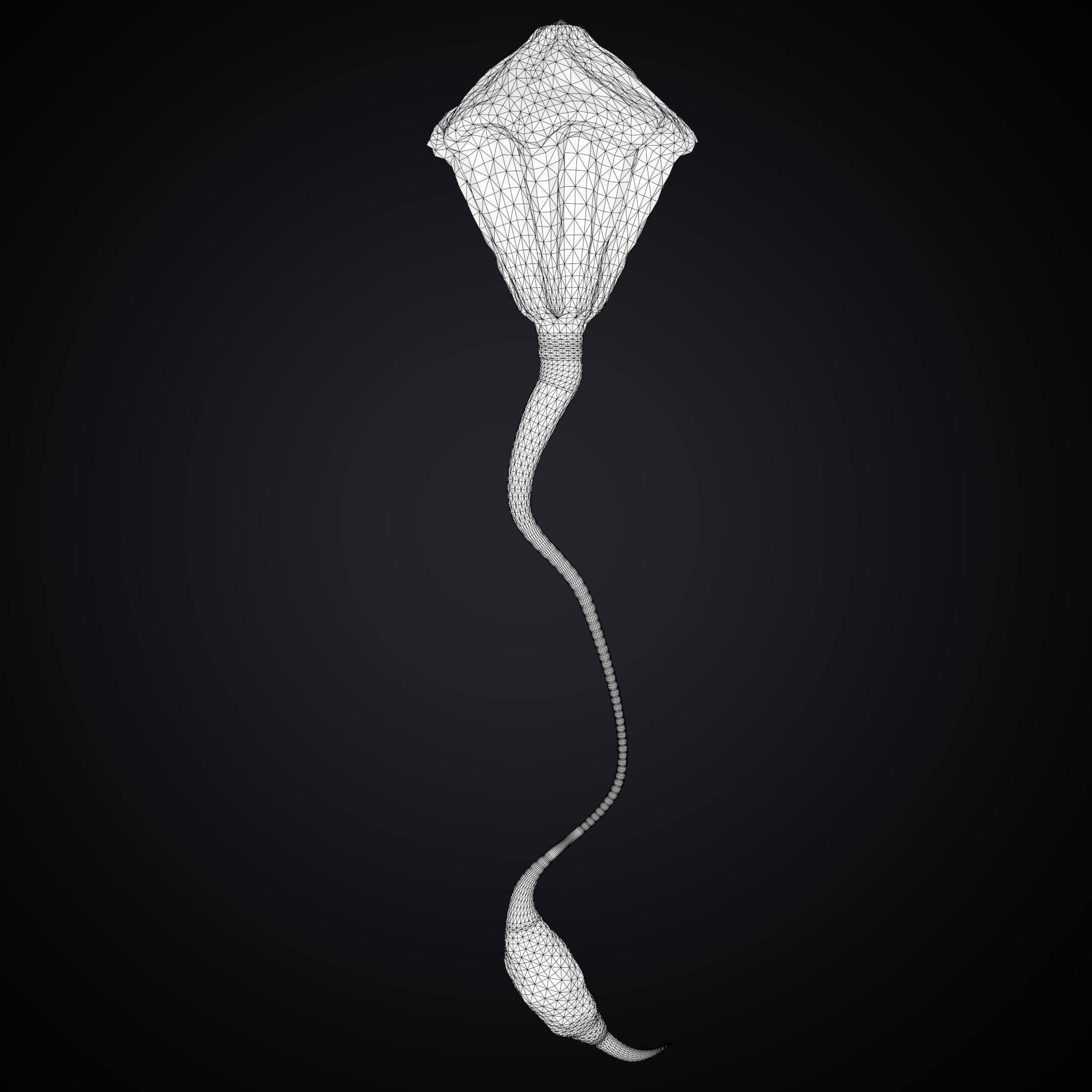 PBR Fantastic Medusa Animated and rigged lowpoly model  Low-poly 3D model_7