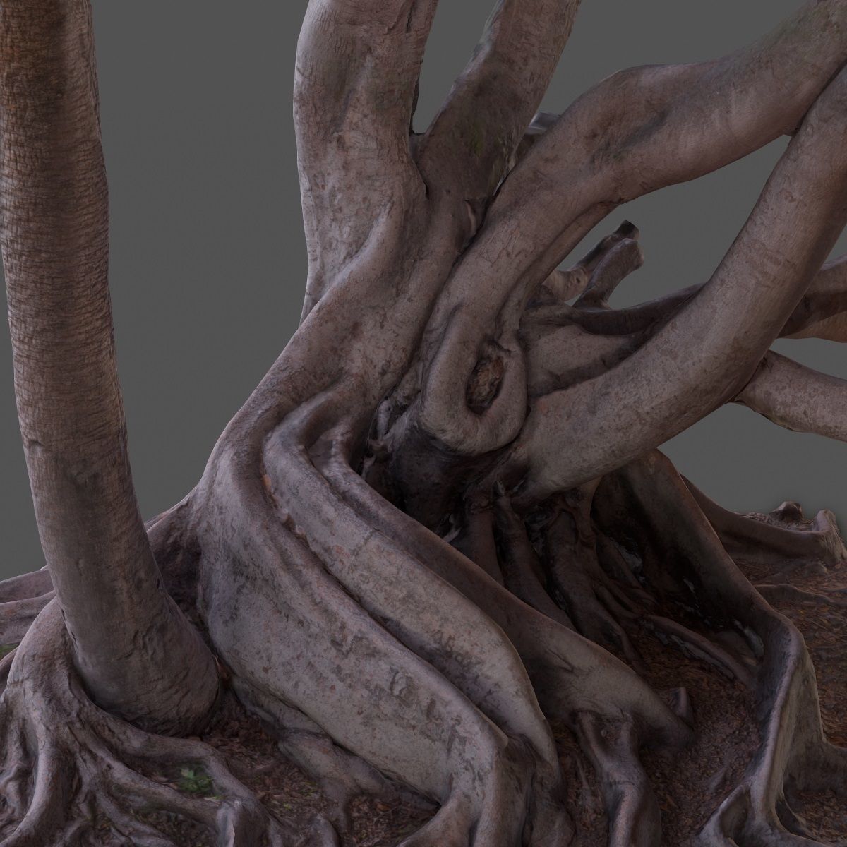 12 Tree collection Vol 2 Low-poly 3D model_36