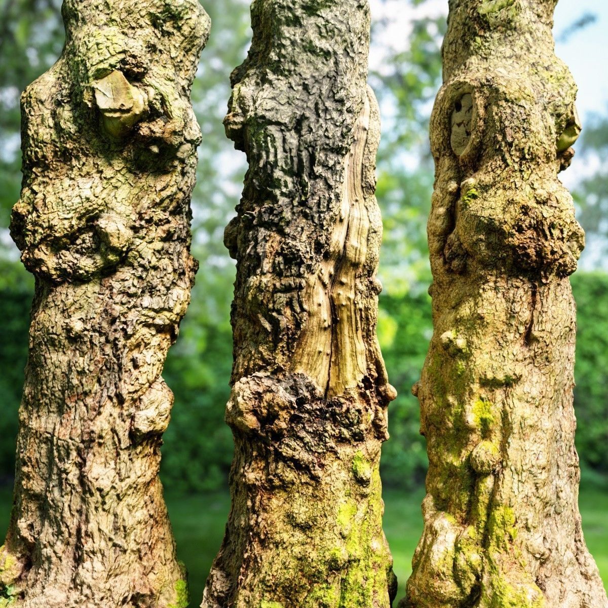 12 Tree collection Vol 2 Low-poly 3D model_5