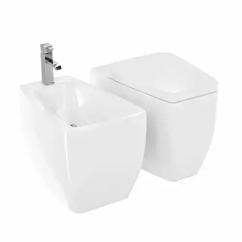bidet and toilet