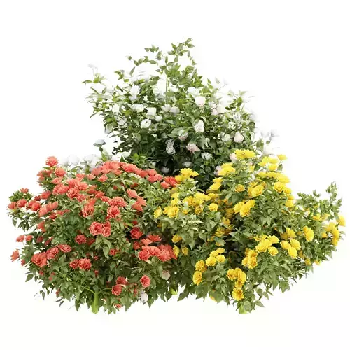 Flowering Bushes Vol 348