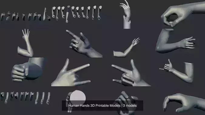 Human Hands 3D Printable Models