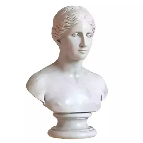 Antique female bust