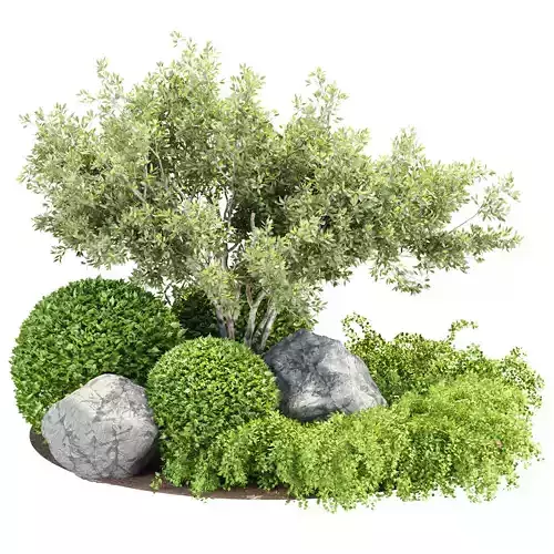 Garden Plants Collection V353