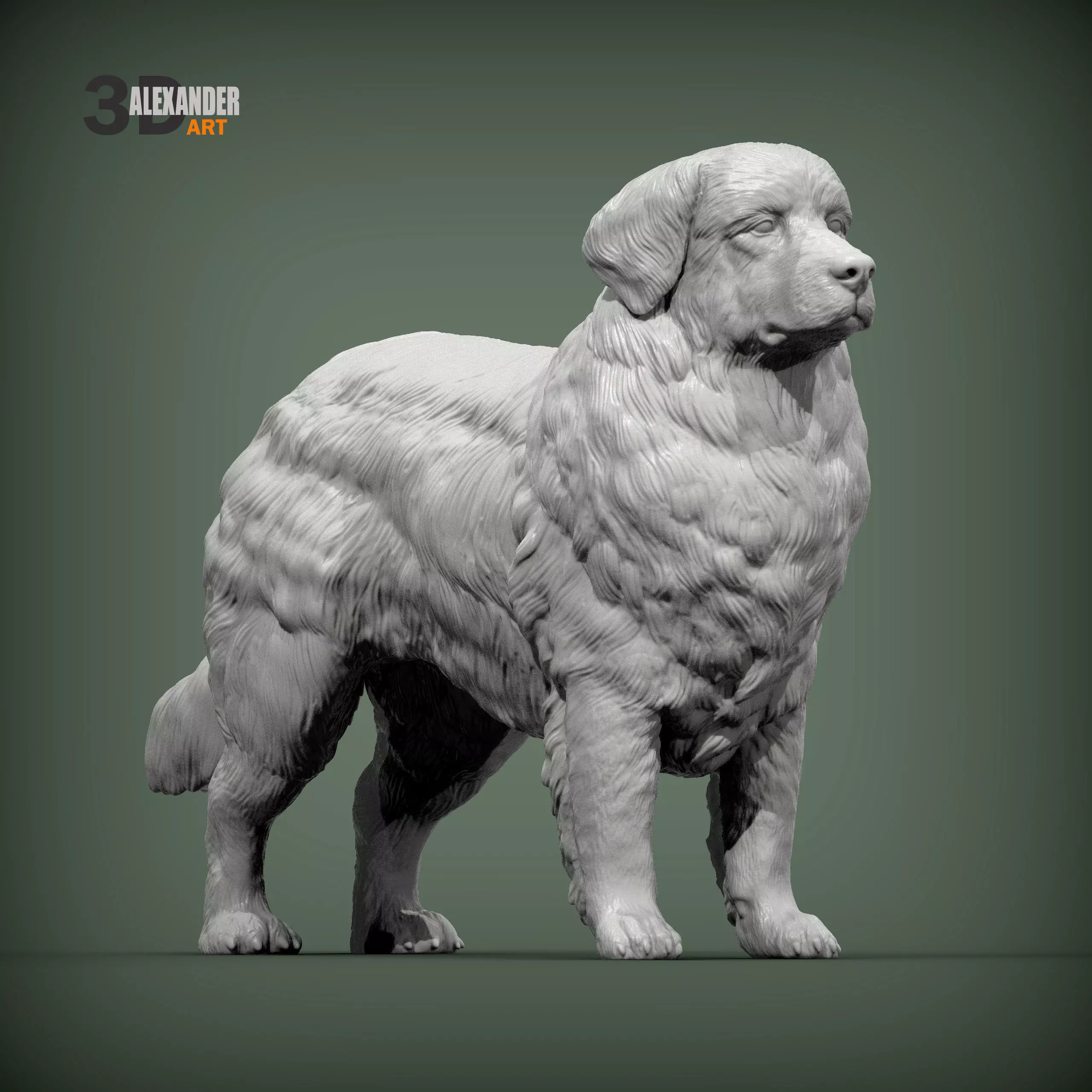 Bernese Mountain Dogs 3D print model