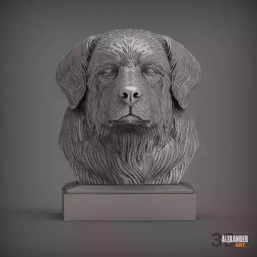 Bernese Mountain Dogs bust