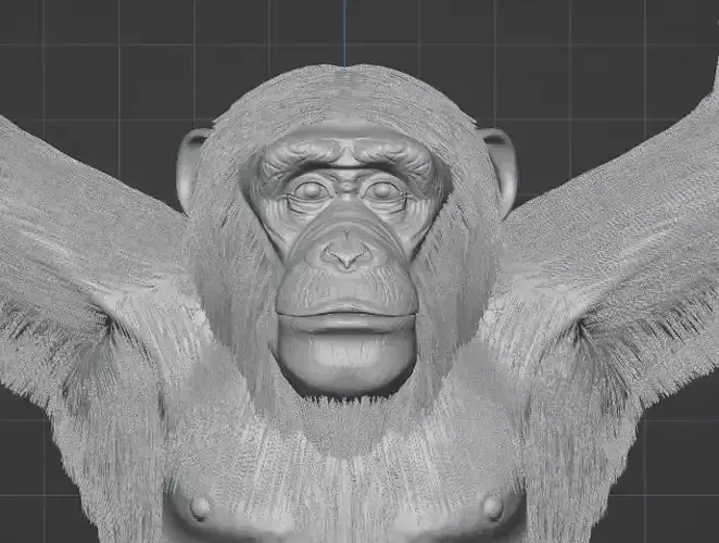 Chimpanzee monkey 3d model