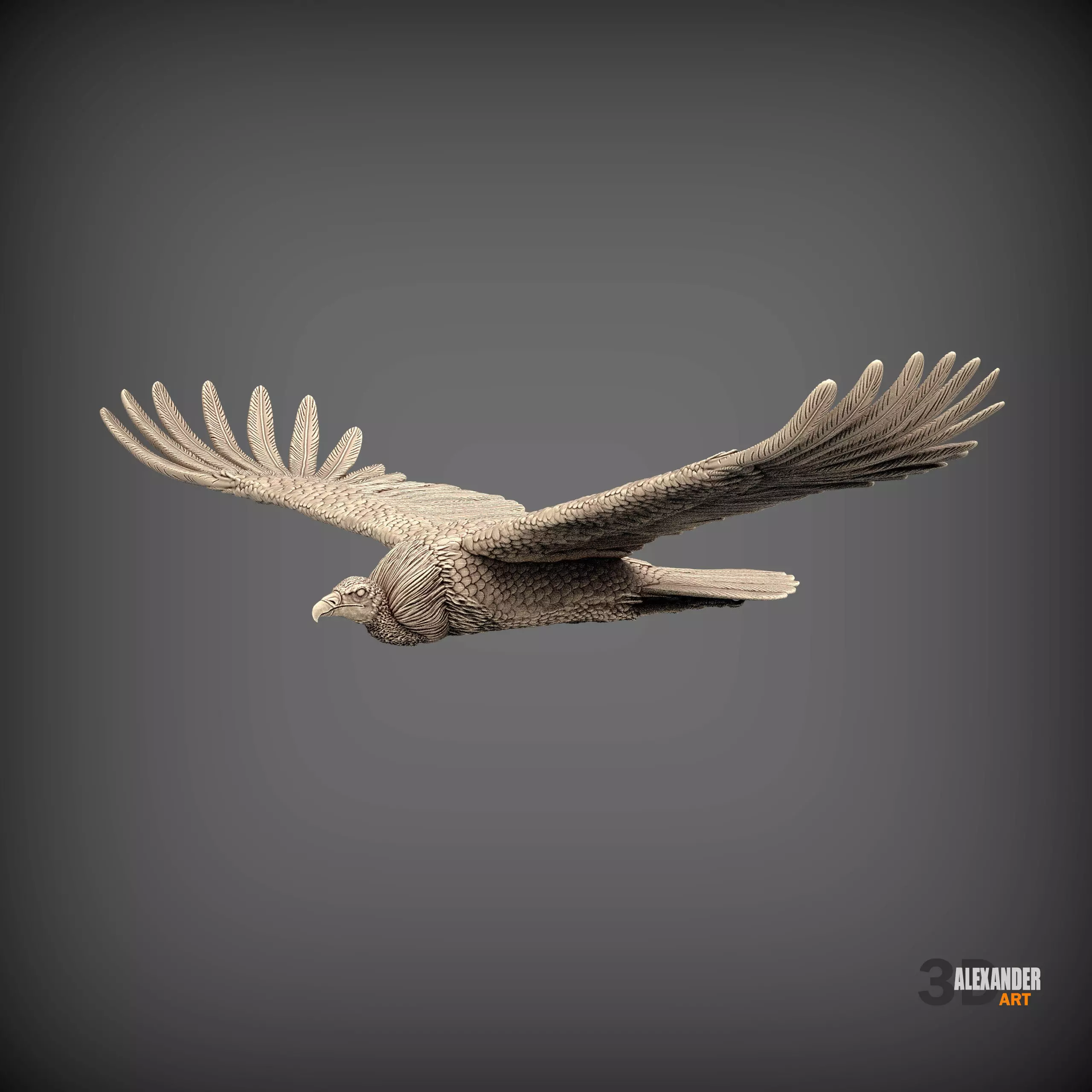 Condor is flying 3D print model