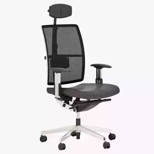 Dauphin high way mesh