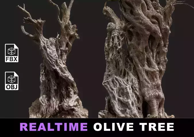 Giant Ancient Cracked Olive Tree n1 Real-time 3D Model