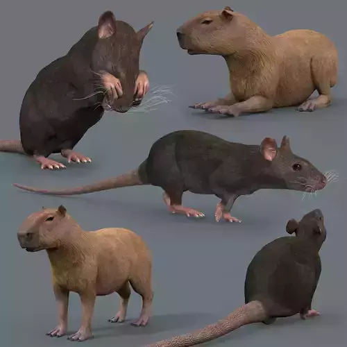 Mighty Rodent Pack 8K animated 