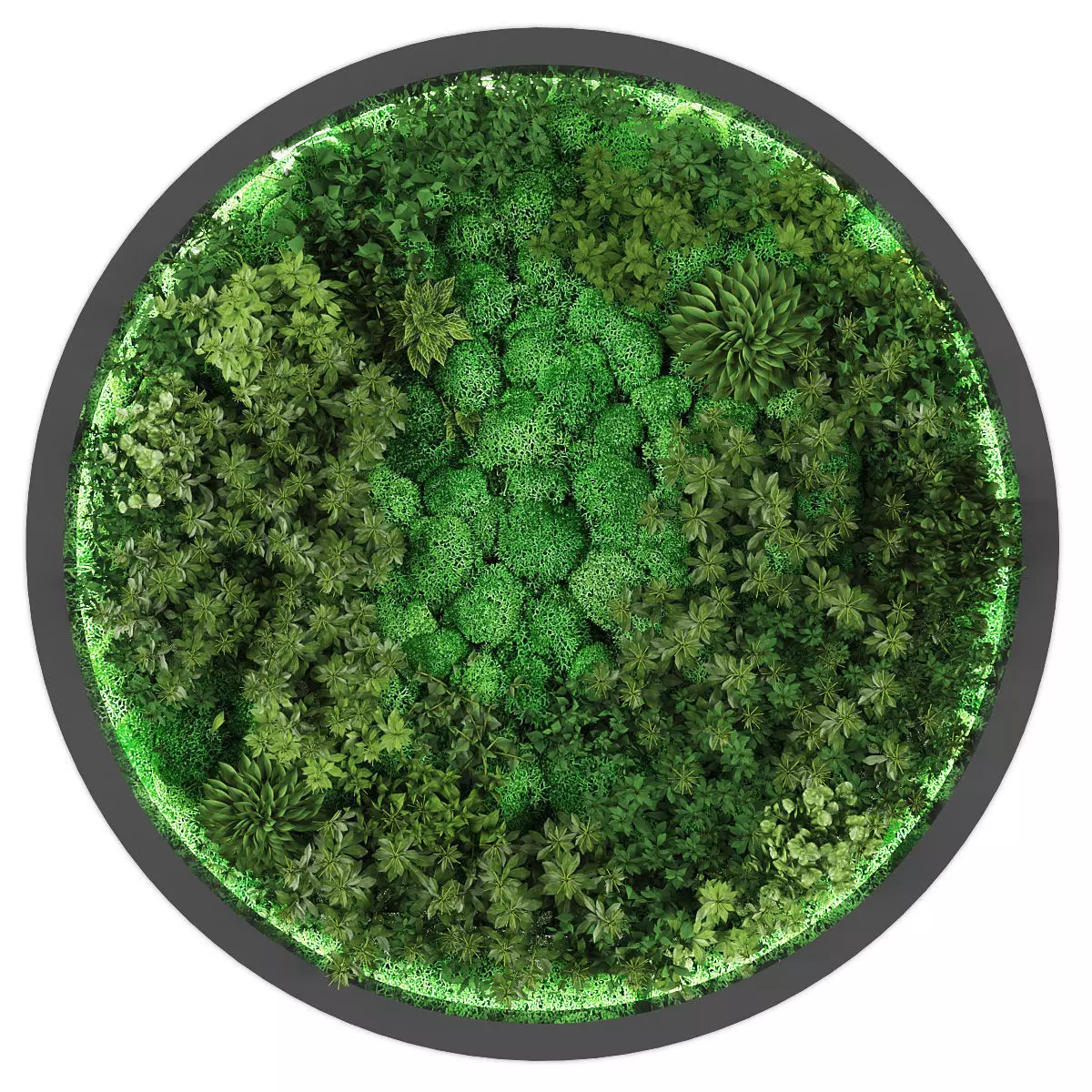 Vertical garden 275 Low-poly 3D model
