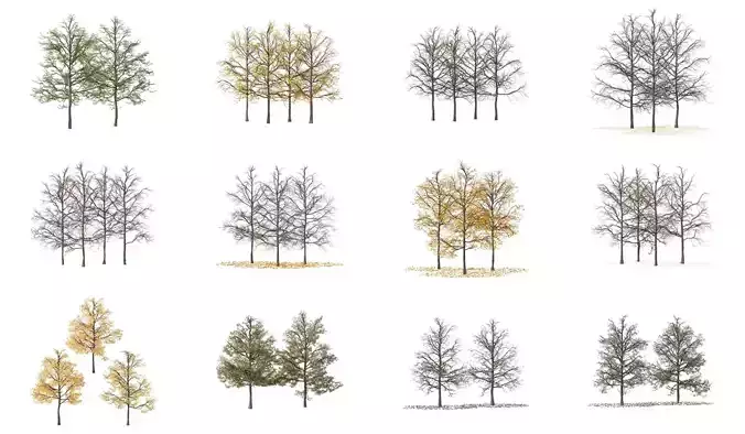 Excellent collection of Outdoor plants 36 Different Models 0052