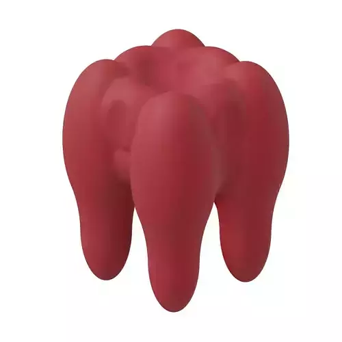 Plastic Premium Human Tooth Toy