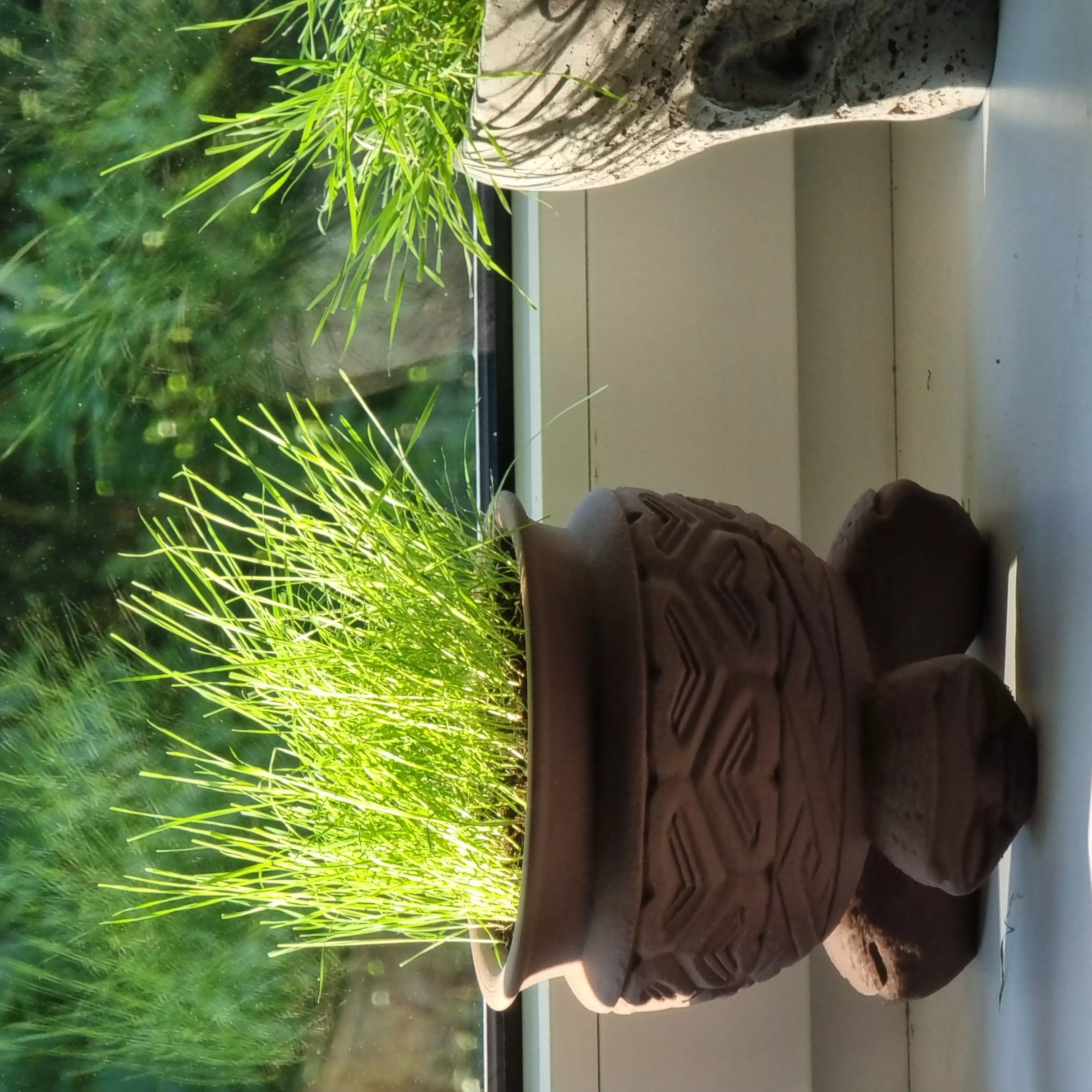 African Flower pot 3D print model