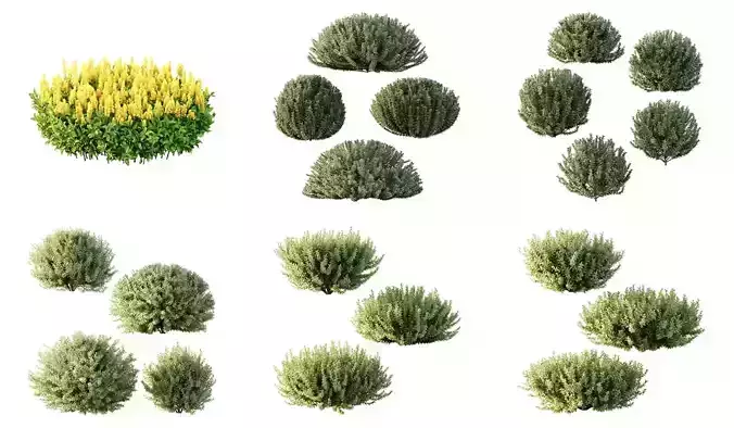 xcellent collection of Outdoor plants 20 Different Models 0054