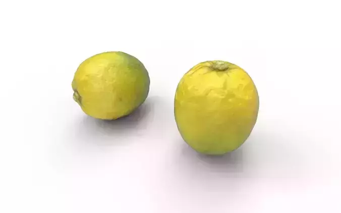 Lemon M15 Low-poly 3D model 6