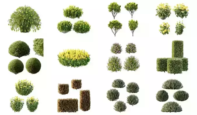 Excellent collection of Outdoor plants 39 Different Models 0055